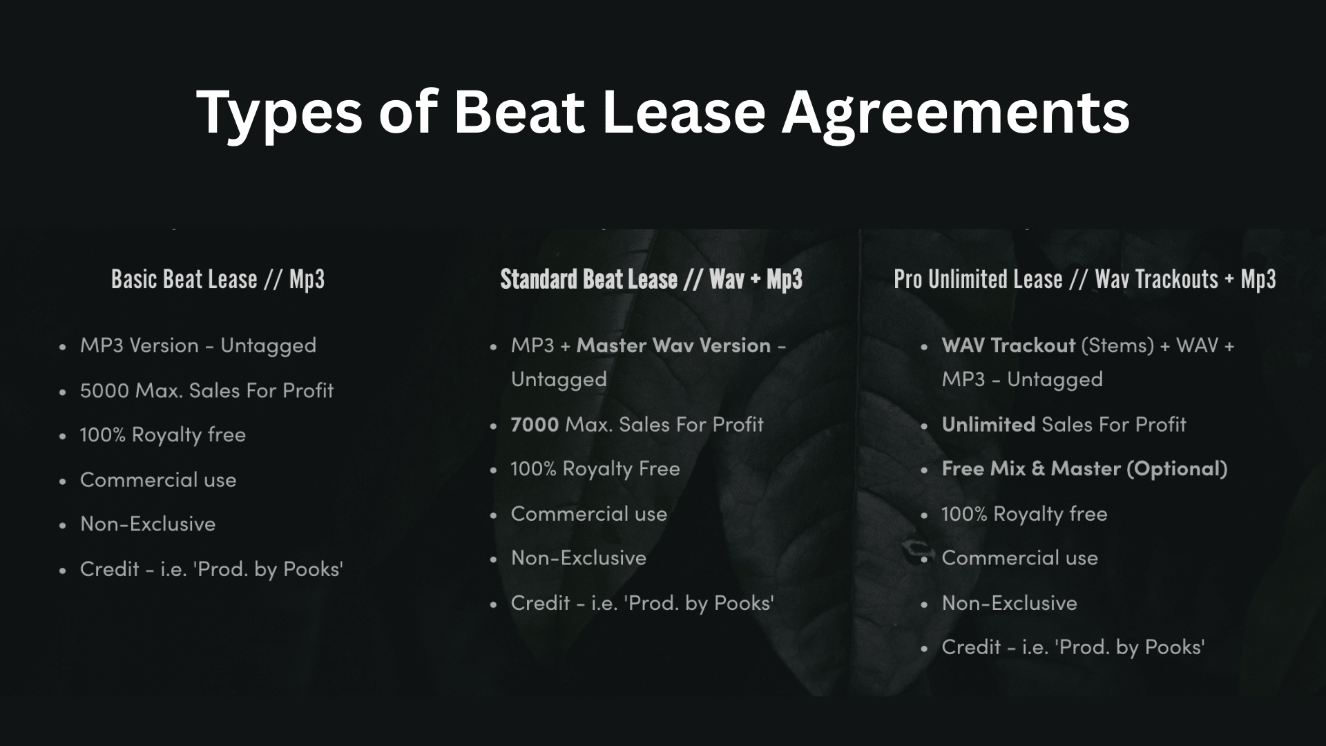 Types_of_Beat_Lease_Agreements