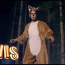 Ylvis – The Fox (What Does The Fox Say?) Lyrics